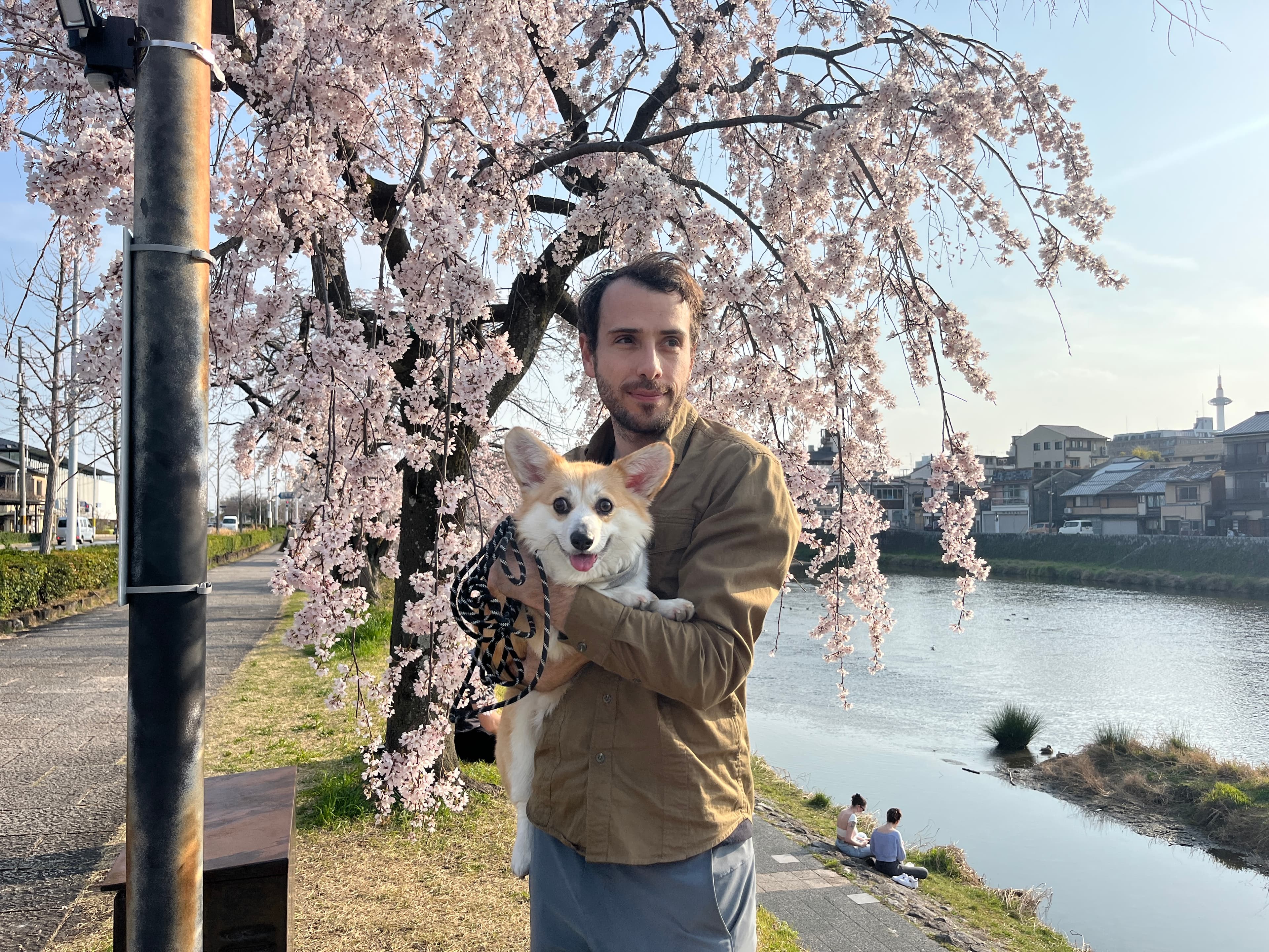Ramon holding his corgi Yuki beneath cherry blossoms by the river in Kyoto